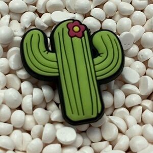 Cactus Shoe Charm 🌵
